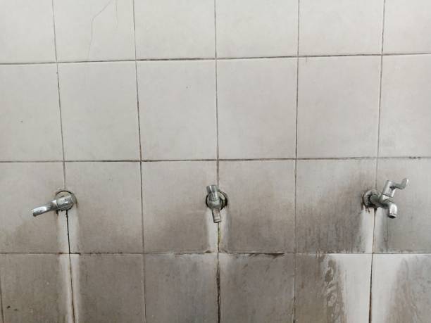 Best Water damage restoration company  in York, NE